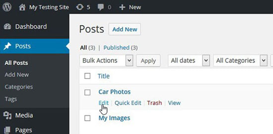wordpress posts