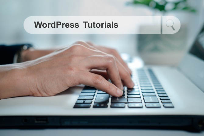 WordPress tutorial shining a light on learning site creation through straightforward and helpful guides